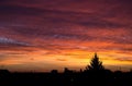 Dramatic cloudy sunset over silhouette dark city and tall pine tree in the distance Royalty Free Stock Photo