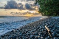 Dramatic coast with rocky volcanic beach, green tree, waves and amazing sunset, Limbe, Cameroon