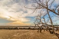 Dramatic coastal landscape featuring a weathered, leafless dead tree on a sandy beach at sunset Royalty Free Stock Photo