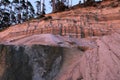 Dramatic Coastal Sand Cliffs with Erosion Patterns and Pine Forest at Sunset Light Royalty Free Stock Photo