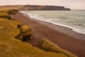 Dramatic coastline with intense colors in the desert of Paracas National Reserve Royalty Free Stock Photo