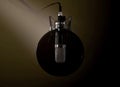 Dramatic Condenser Microphone