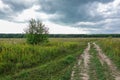 Dramatic countryside landscape with thunderclouds in the sky over a wheat field. country road in the field Royalty Free Stock Photo