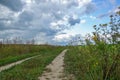 Dramatic countryside landscape with thunderclouds in the sky over a wheat field. country road in the field Royalty Free Stock Photo