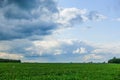 Dramatic countryside landscape with thunderclouds in the sky over a wheat field Royalty Free Stock Photo