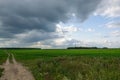 Dramatic countryside landscape with thunderclouds in the sky over a wheat field Royalty Free Stock Photo