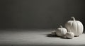 White monochromatic pumpkins on a concrete backdrop Royalty Free Stock Photo