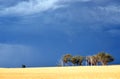 Dramatic ominous stormy sky over Australian countryside Royalty Free Stock Photo