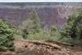 Dramatic desert landscape with a rugged rock canyon at the North Rim of Grand Canyon, Arizona, USA Royalty Free Stock Photo