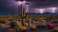 Dramatic Arizona Desert Landscape with Cactus and Lightning Strikes at Night Royalty Free Stock Photo
