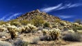 Dramatic Desert Mountain Landscape with Cholla Cactus Under Blue Sky Royalty Free Stock Photo