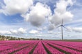 Dramatic Dutch sky Royalty Free Stock Photo