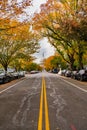 Dramatic fall sky over the U.S. Capitol with colorful trees in foreground Royalty Free Stock Photo