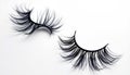 Dramatic False Eyelashes for Stunning Lash Look Royalty Free Stock Photo