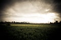 Dramatic field. Landscape. In dark colors Royalty Free Stock Photo
