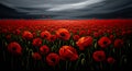 Dramatic field of vibrant red poppies under a foreboding sky, perfect for Remembrance Day, Memorial Day, Veterans Day tributes, Royalty Free Stock Photo