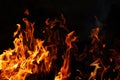 Dramatic fire flames spreading across dark background Royalty Free Stock Photo
