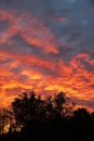 Dramatic flaming sky with orange clouds Royalty Free Stock Photo