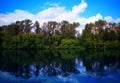 Dramatic forest reflections in the clean river landscape