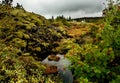 Dramatic gloomy Iceland landscape. Stony volcanic rocks and a lake with branches of rowan berries.