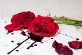 Dramatic Gothic scene with dark red roses with blood drops on white background.