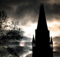 Dramatic Gothic Building, Moonlight and Tree