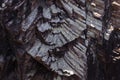 Dramatic hexagonal trachyte columns at fan rock, Yeppoon Royalty Free Stock Photo