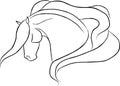 Dramatic Horse Head Vector Royalty Free Stock Photo