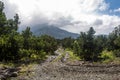 Dramatic image of an avocado farm high int the caribbean mountains of the dominican republic.