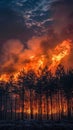 Dramatic image capturing the fierce intensity of a wildfire raging through a dense forest, with towering flames and Royalty Free Stock Photo