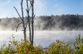 Early Morning Mist Over a Lake in Algonquin Park #3 Royalty Free Stock Photo