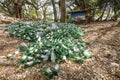 Dramatic image of glass bottles on the beach at Los Patos park, Paraiso, dominican republic.