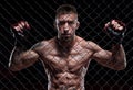 Dramatic image of a mixed martial arts fighter standing in an octagon cage. The concept of sports, boxing, martial arts