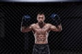 Dramatic image of a mixed martial arts fighter standing in an octagon cage. The concept of sports, boxing, martial arts