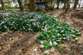 Dramatic image of glass bottles on the beach at Los Patos park, Paraiso, dominican republic.