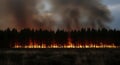 Forest Fire Devastation Royalty Free Stock Photo