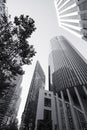 Tall buildings in San Francisco - dramatic angle