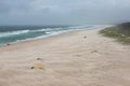 Dramatic landscape of beach swept by wind