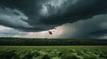 Ladybug Flying Over Green Field Under Dramatic Stormy Sky Royalty Free Stock Photo