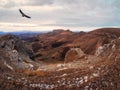 Dramatic landscape with flight lonely eagle - view of a chilly autumn valley blurred in a morning haze and steep red stone cliffs