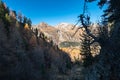 Trunk of a tree is hanging over a hiking trail in the Swiss Alps