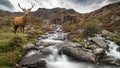 Dramatic landscape image of red deer stag by river flowing down