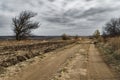 Dramatic landscape, late autumn, dirt road through an agricultural field with dry wheat, bare tree branches, cloudy weather with a Royalty Free Stock Photo