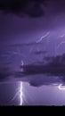 Dramatic Lightning: Nature's Show in Black Clouds