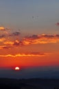 Dramatic Morning sky Flying birds at Sunrise Royalty Free Stock Photo