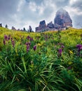 Dramatic morning view of Cinque Torri mountain range. Wonderful summer scene of Dolomiti Alps, Cortina d`Ampezzo, Province of Bel Royalty Free Stock Photo