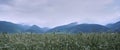 Dramatic mountain field with fog panorama