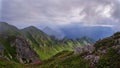 Dramatic mountain landscape on a foggy morning. Pink flowers of the Carpathian rhododendron among the green Royalty Free Stock Photo