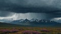 Dramatic Storm Clouds Over Mountain Range with Wildflowers in Full Bloom Royalty Free Stock Photo