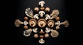 Dramatic mushroom and oyster shell mandala Royalty Free Stock Photo
